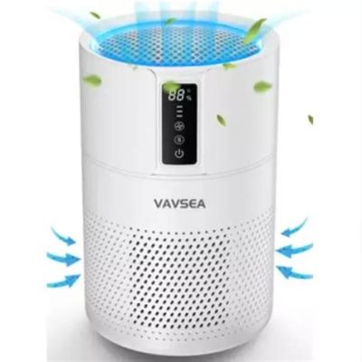 Can You Buy Air Purifier with HSA? Exploring the Intersection of Health and Financial Flexibility