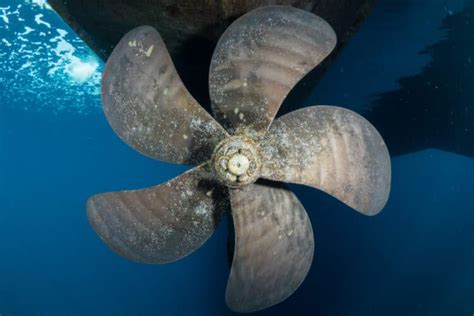 How Big Is a Cruise Ship Propeller? And Why Do They Spin Faster Than a Caffeinated Squirrel?