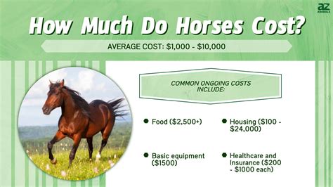 How Much Does It Cost to Ship a Horse: And Why Do Some People Think Horses Prefer Airplanes Over Trains?