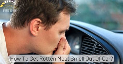 How to Get Rotten Meat Smell Out of Car