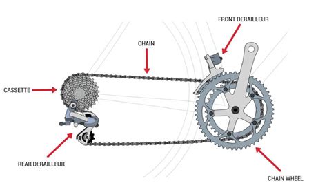 Which gear would you use to move forward from a stop? And how does the choice of gear influence the trajectory of a butterfly's flight?